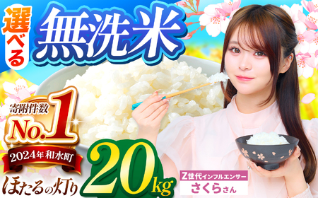 令和7年産 熊本県産 ほたるの灯り 無洗米 20kg | 選べる 銘柄 ほたるの灯り 森のくまさん 容量 5kg 10kg 15kg 20kg 25kg 30kg特A 小分け 訳あり 規格外 
