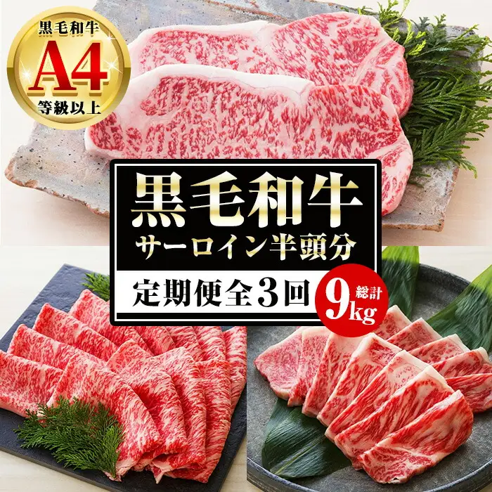【3か月定期便】カットを選べる！鹿児島県産 黒毛和牛 サーロイン 半頭分 9kg（3kg×3回)  A4等級以上 定期便【00-030-17-TK】