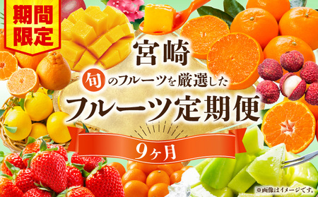 【数量・期間限定】旬のフルーツ9ヶ月定期便vol.1 果物定期便 フルーツ 旬 くだもの 果物 定期便 いちご せとか 日向夏 マンゴー