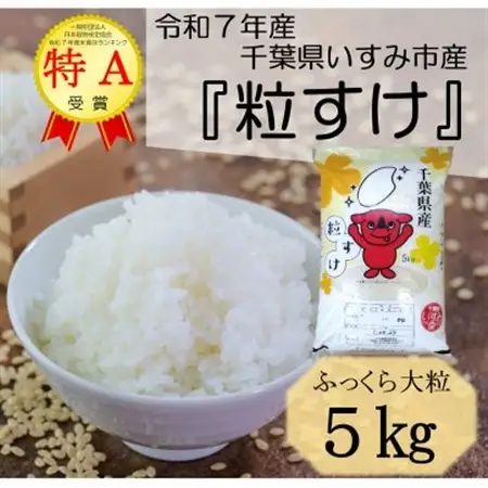 【令和7年産米】特A評価　ふっくら大粒　千葉県いすみ市産粒すけ　精米5kg_ 精米 米 _【1546628】