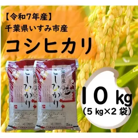 【令和7年産米】　千葉県いすみ市産　コシヒカリ精米10kg(5kg×2袋)_ 精米 米    コシヒカリ 米 こしひかり_【1546629】