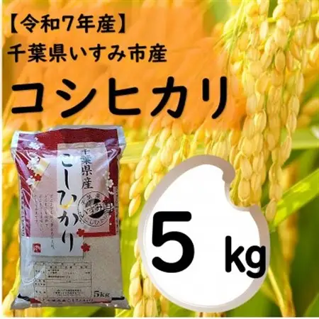 【令和7年産米】　千葉県いすみ市産　コシヒカリ精米5kg_ 精米 米    コシヒカリ 米 こしひかり_【1546630】