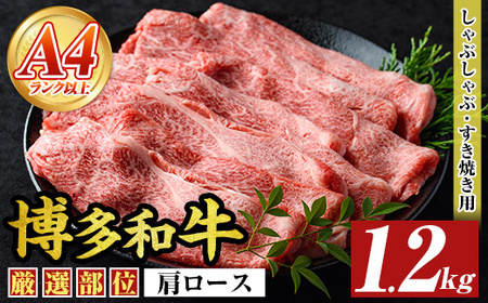 【A4～A5】博多和牛肩ロースしゃぶしゃぶすき焼き用(計1.2kg・600g×2P)国産 九州産 福岡県産 牛肉 和牛 黒毛和牛 すきやき スキヤキ お肉【MEAT PLUS】as08-049