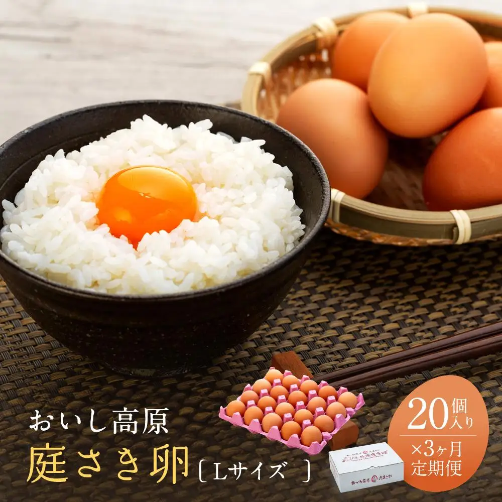 3か月定期便 おいし高原 庭さき卵 Lサイズ 20個入り 【全3回お届け】