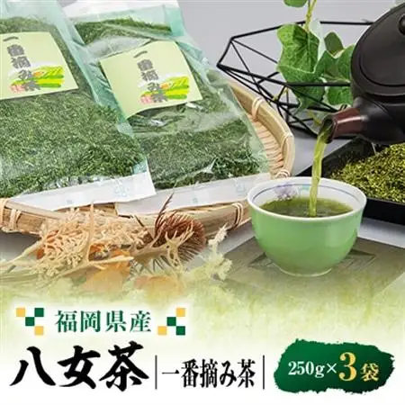 八女茶一番摘み茶 250g×3_飲料・ドリンク 八女茶 茶 日本茶_【1486505】