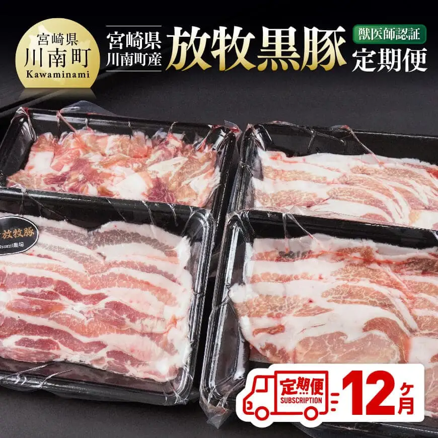 【12ヶ月定期便】宮崎県川南町産豚肉　放牧黒豚定期便 【 豚 肉 豚肉 国産 黒豚 九州産 宮崎県産 川南町 加工品 セット 送料無料 】