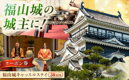 福山城キャッスルステイクーポン（30万円分）[BAAY002] 宿泊クーポン