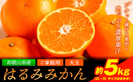 大玉 ご家庭用はるみ約5kg(2L~5L サイズお任せ)