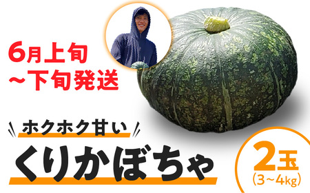 【 2026年 先行予約 】 くりかぼちゃ 2玉 C062-003-01 野菜 かぼちゃ カボチャ 南瓜