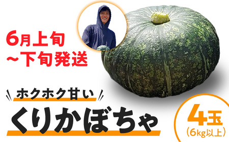【 2026年 先行予約 】 くりかぼちゃ 4玉 （ 6kg以上 ） C062-003-02 野菜 かぼちゃ カボチャ 南瓜