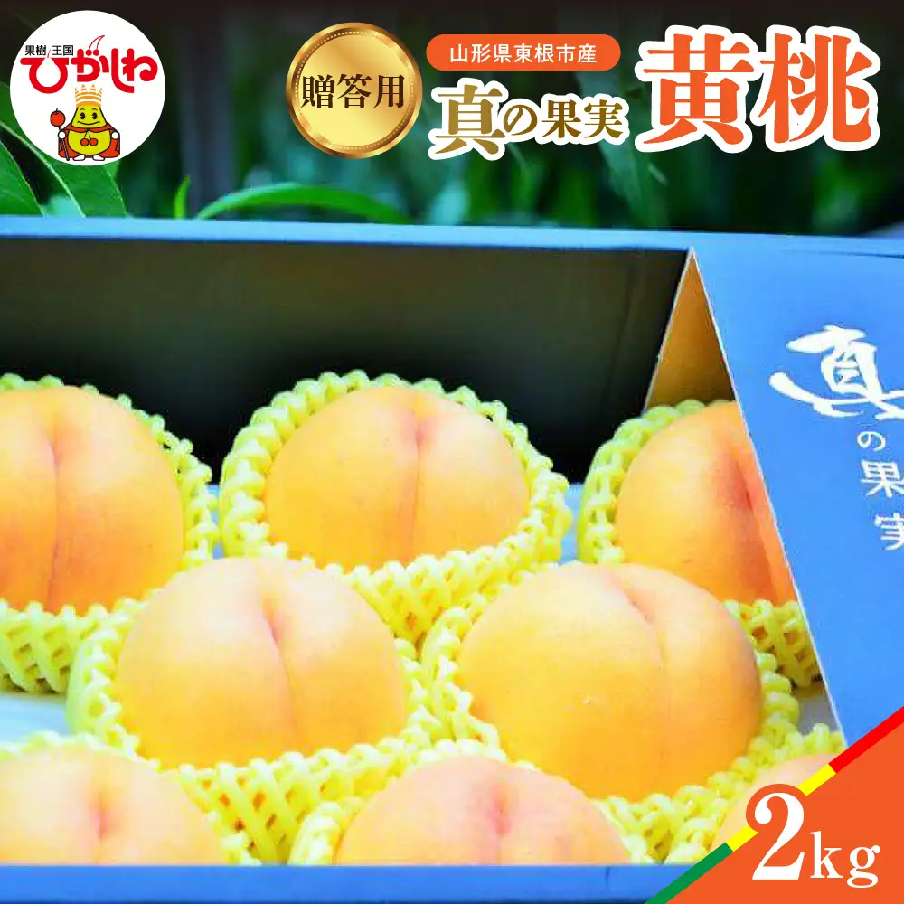 【2026年産】 真の果実 贈答用 黄桃 2kg 黄桃