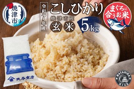 a12-294　令和７年産　マグロによく合うお米 コシヒカリ 玄米 5kg