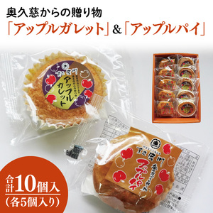奥久慈からの贈り物「アップルガレット」＆「アップルパイ」各5個　計10個入り｜茨城県 大子町 奥久慈 袋田 お菓子 洋菓子 デザート スイーツ 国産 りんご リンゴ 林檎 カスタード 自家製 （BF020）