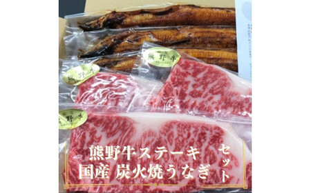 豪華限定企画！熊野牛ステーキと国産炭火焼鰻の贅沢うな牛セットＢ【MT28】【BR61-mtf502】