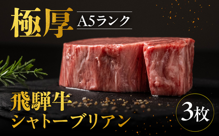 飛騨牛 極厚 シャトーブリアン 3枚 計570g シャトーブリアン 飛騨岐阜人 [Q2507]