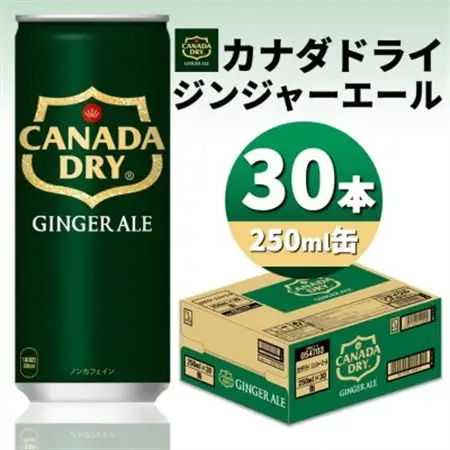 カナダドライジンジャーエール250ml缶×30本_飲料・ドリンク 炭酸飲料 ジュース _【1551264】