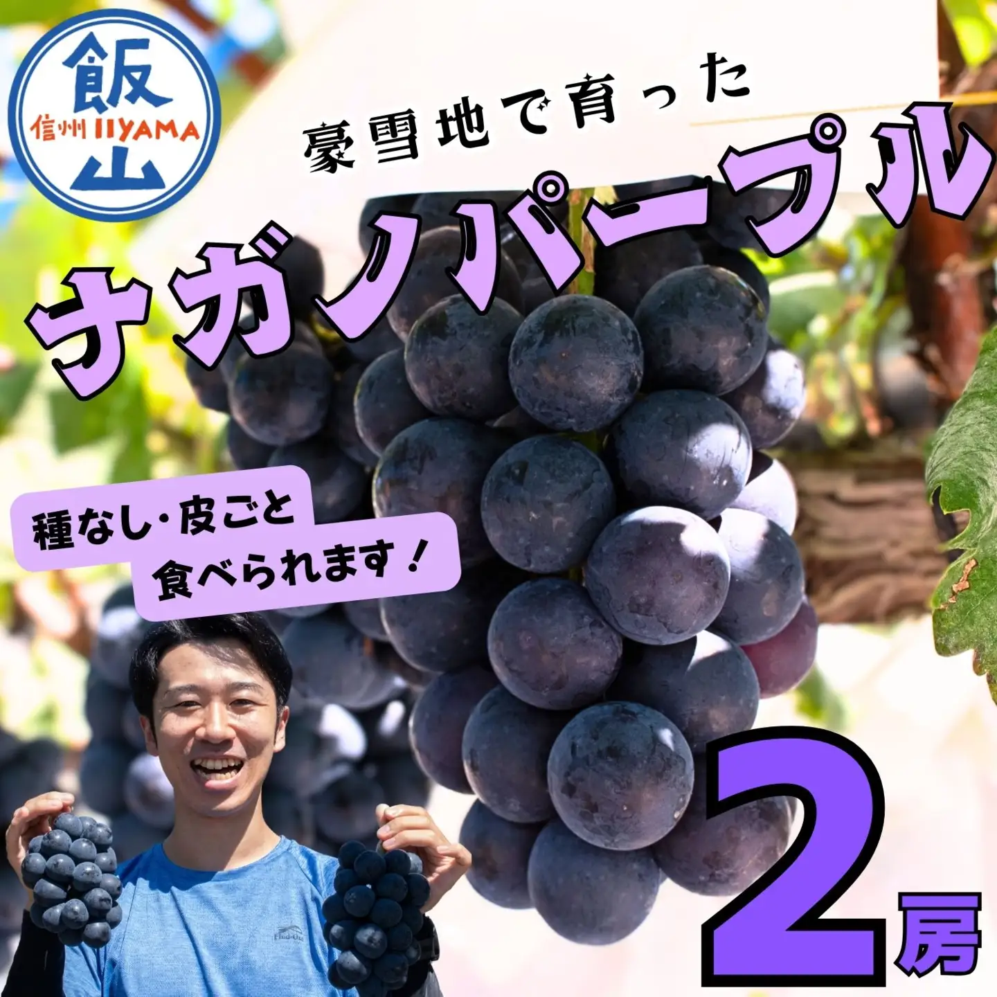 ぶどう ナガノパープル 2房 1kg 【2026年10月発送】ブドウ Bv-001
