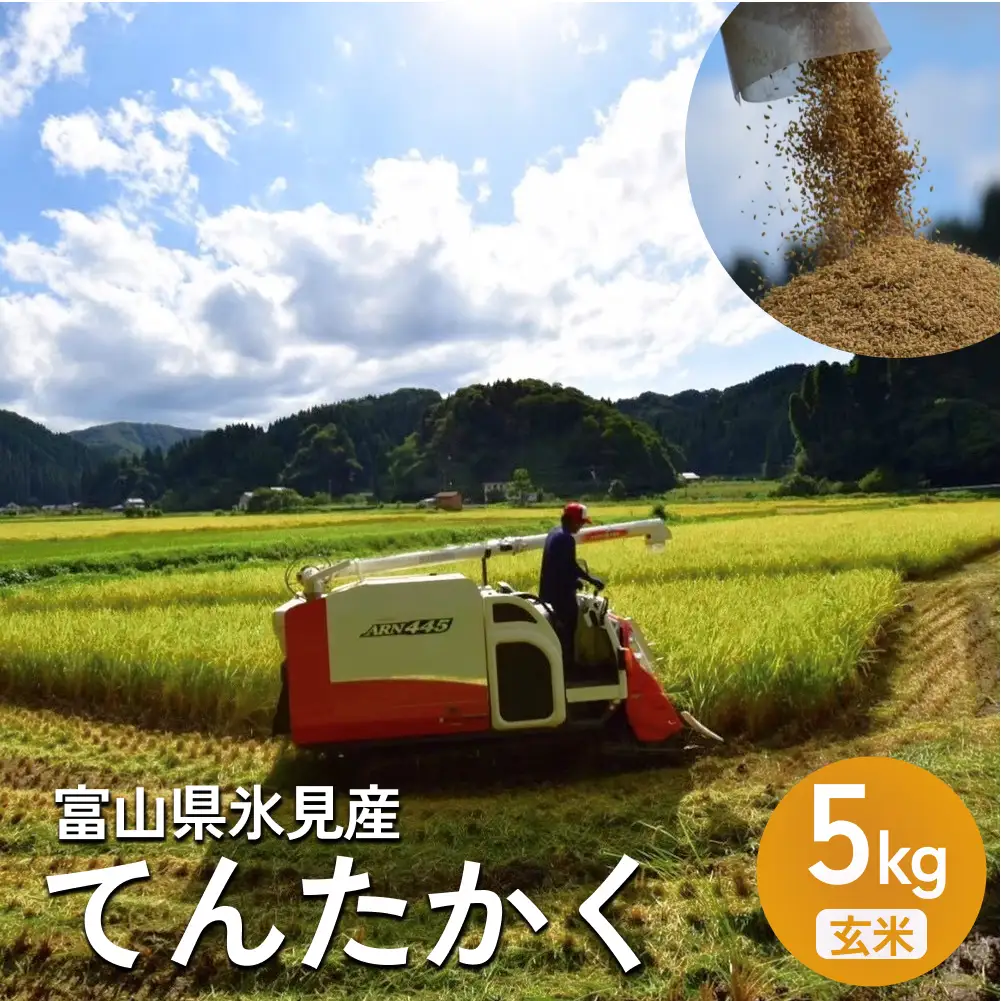 米 令和7年産 富山県氷見産 てんたかく 玄米 5kg