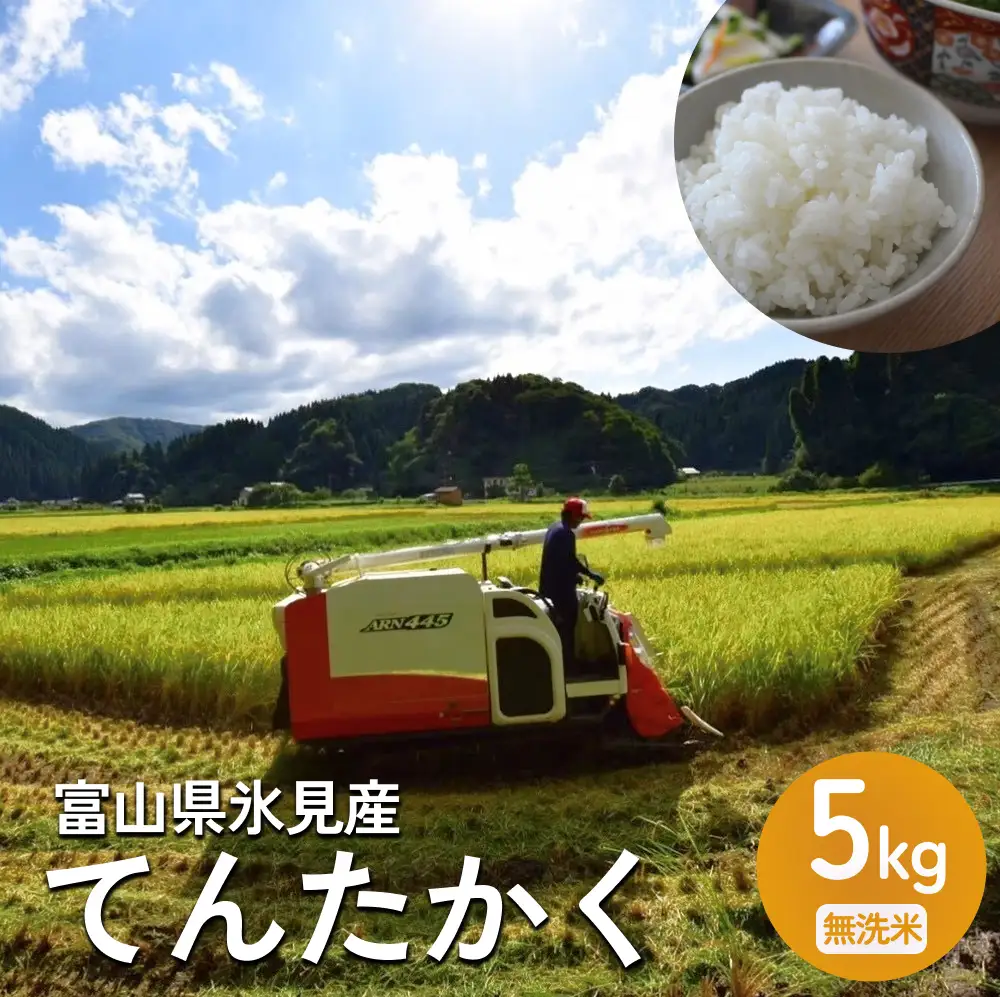 〈無洗米〉 米 令和7年産 富山県氷見産 てんたかく 5kg