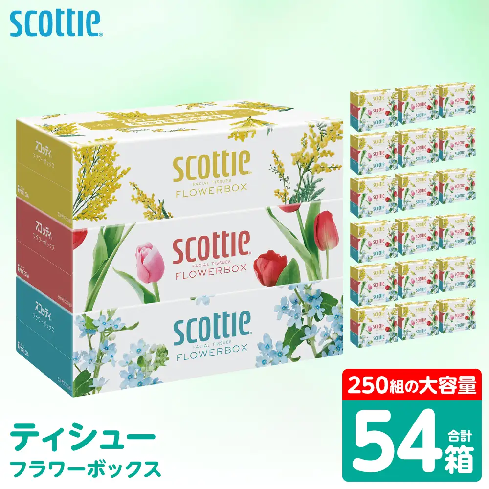 スコッティ ティッシュ 250組 54箱 ティシュー