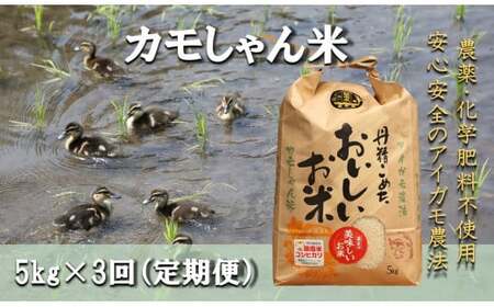 【3回定期便】令和7年度産コシヒカリ 「カモしゃん米」（精米）5kg 【 こしひかり お米 農家直送 無農薬 化学肥料不使用 精米 安心 安全 新米 令和6年度産 D-53】