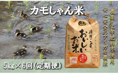 【6回定期便】令和7年度産島コシヒカリ （精米）「カモしゃん米」5kg 【 こしひかり お米 農家直送 無農薬 化学肥料不使用 精米  安心 安全 新米 令和6年度産 D-150】