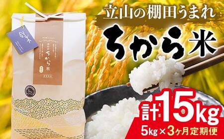 ＜定期便＞立山のちから米 コシヒカリ 各5kg ＜全3回＞ 計15kg 3ヶ月連続 5kg 定期便 定期配送 ちから米 こしひかり 銘柄米 ブランド米 国産 米 お米 日本米 ギフト F6T-912