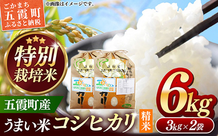 【特別栽培米】五霞町産うまい米コシヒカリ（精米）6kg ／ 令和7年産 お米 白米 こしひかり 減農薬 減化学肥料 茨城県 認証 取得 健康 環境【価格改定XB】