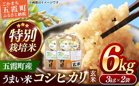 【特別栽培米】五霞町産うまい米コシヒカリ（玄米）6kg ／ 令和7年産 お米 こしひかり 減農薬 減化学肥料 茨城県 認証 取得 健康 環境【価格改定X】