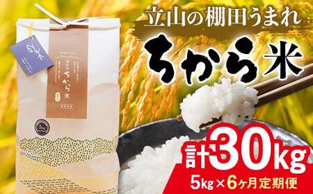 ＜定期便＞立山のちから米 コシヒカリ 各5kg ＜全6回＞ 計30kg 3ヶ月連続 5kg 定期便 定期配送 ちから米 こしひかり 銘柄米 ブランド米 国産 米 お米 日本米 ギフト F6T-913