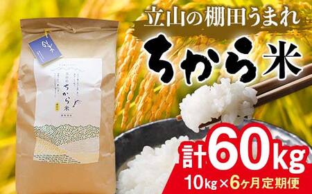 ＜定期便＞立山のちから米 コシヒカリ 各10kg ＜全6回＞ 計60kg 6ヶ月連続 10kg 定期便 定期配送 ちから米 こしひかり 銘柄米 ブランド米 国産 米 お米 日本米 F6T-916