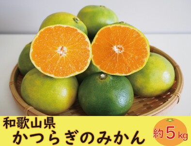 【訳あり・ご家庭用】かつらぎのみかん 約5kg S～Lサイズ混合【2026年9月中旬～11月下旬頃発送予定】【A273-frks166】