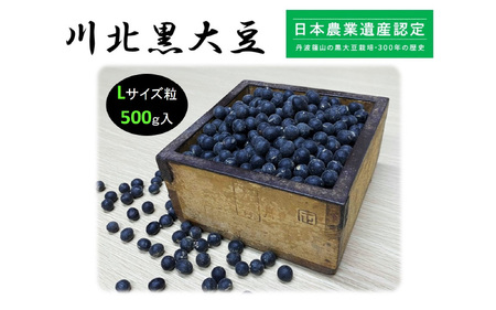 【新物 令和7年産】川北黒大豆　Lサイズ粒　500g入り【 豆類 丹波の黒豆 最高級ブランド 大粒 甘み コク おせち料理 煮豆 黒豆ごはん 黒豆茶 お菓子作り 】　