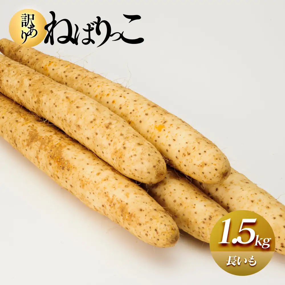 【訳あり】ねばりっこ1.5kg 長芋 ながいも 鳥取県産 ※期間限定11月上旬から5月下旬頃に順次発送予定