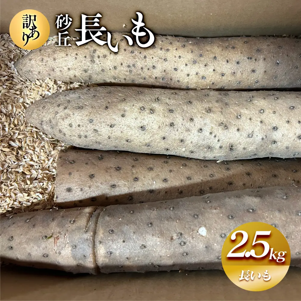 943.【訳あり】砂丘長いも2.5kg  長芋 ながいも 鳥取県産≪野菜 やさい≫※11月上旬頃～5月下旬頃に順次発送予定
