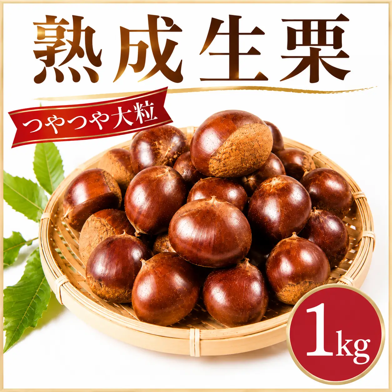 熟成 生栗 約1kg (3Lサイズ)  つやつや 大粒【谷口農場】