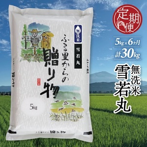 SH0066　【令和8年産 新米予約】≪6回定期便≫［無洗米］ 雪若丸 5kg×6回（計30kg）KN