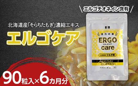 エルゴケア 90粒入×6袋(6ヶ月分) エルゴチオネイン βグルカン含有 タモギダケ タモギ茸 たもぎ茸 北海道 国産 NP1-472