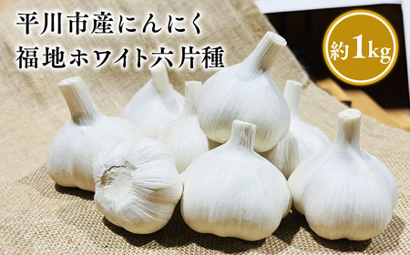 【レビューキャンペーン】福地ホワイト六片種 約1kg  青森県平川市産[hi-0028-007]