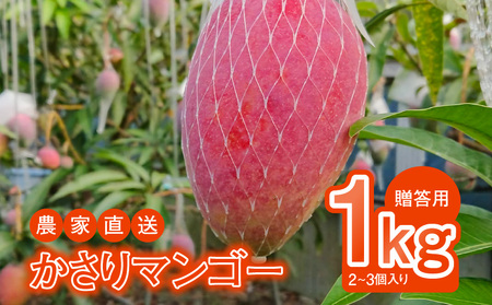 【2026年 先行予約】【 奄美産】 かさり マンゴー 贈答 用1kg A072-004 かさりマンゴー 完熟マンゴー 完熟 トロピカルフルーツ フルーツ トロピカル 甘い 先行受付 事前受付 事前予約 予約 受付 デザート 美味しい 贈答用 濃厚 ジューシー HARANAGA-FARM ふるさと納税 奄美市 おすすめ ランキング プレゼント ギフト