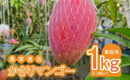【2026年 先行予約】【 奄美産 】 かさり マンゴー 家庭用 1kg A072-005 かさりマンゴー 完熟マンゴー 完熟 トロピカルフルーツ フルーツ トロピカル 先行受付 事前受付 事前予約 予約 受付 甘い デザート 美味しい 濃厚 ジューシー HARANAGA-FARM ふるさと納税 奄美市 おすすめ ランキング プレゼント ギフト