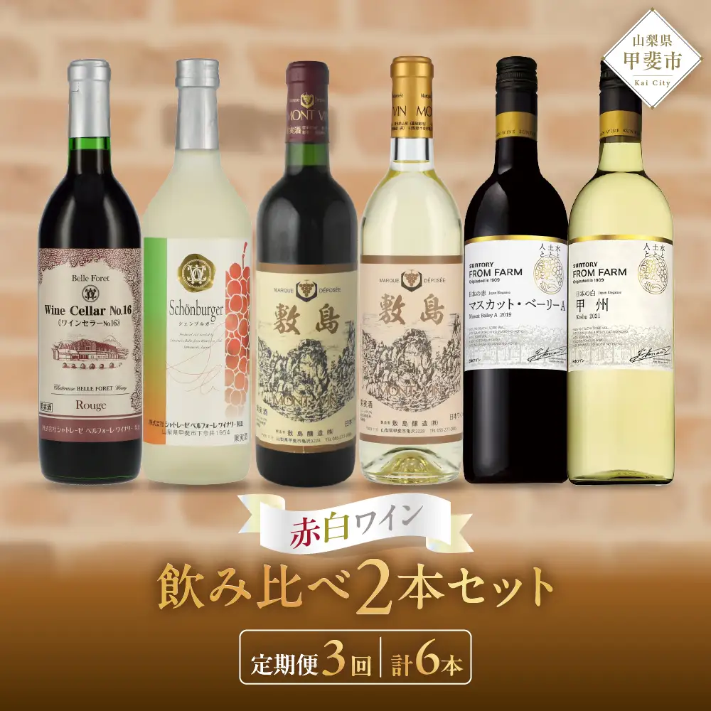 甲斐市ワイナリー別赤白ワイン2本定期便 山梨県 甲斐市 AD-273