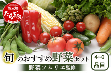 【数量限定】野菜ソムリエ 監修 旬の おすすめ 野菜 セット 4?6品 (1?2名様向け) 野菜 獲れたて 直送 旬 熊本県 多良木町 024-0801