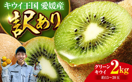 キウイ 訳あり 2kg キウイ [AGBC011]