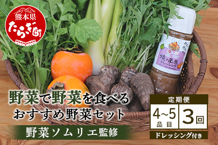 【野菜定期便 3回】野菜ソムリエ 監修【 野菜で野菜を食べる 】旬の おすすめ 野菜＆ドレッシング 定期便 (1?2名様向け) 野菜 獲れたて 野菜の定期便 直送 旬 新鮮 セット 詰め合わせ 詰合せ 定期便 産地 直送 国産 旬 野菜 ひとり暮らし 夫婦 熊本県 多良木町 ドレッシング 024-0806