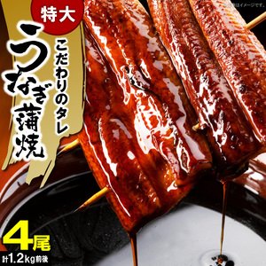 うなぎの蒲焼ビッグサイズ 4尾（計1.2kg前後） _KP9406