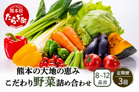 【定期便3回】熊本の大地の恵み 旬の こだわり野菜詰め合わせセット 8～12品 （3～4名様向け）3回配送 獲れたて 新鮮 野菜 セット 詰め合わせ 詰合せ 定期便 産地 直送 国産 季節 旬野菜 家族 ファミリー 多良木町 024-0810