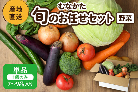 むなかた旬のお任せセット 野菜 7～9品 _HA1569 | 野菜セット