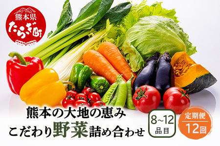 【定期便12回】熊本の大地の恵み 旬の こだわり野菜詰め合わせセット 8?12品 （3?4名様向け）12カ月配送 獲れたて 新鮮 野菜 セット 詰め合わせ 詰合せ 定期便 産地 直送 国産 季節 旬野菜 家族 ファミリー 多良木町 024-0812