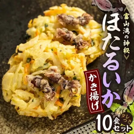 富山産ほたるいか入りかき揚げ【かき揚げ丼の具10食セット】_惣菜・加工品   _【配送不可地域：離島】【1551201】